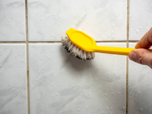 Best Residential Mold Removal  in Clear Lake, IA