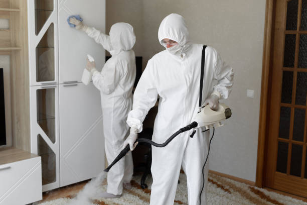 Professional Mold Removal in Clear Lake, IA