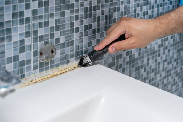 Best Same-Day Mold Removal  in Clear Lake, IA