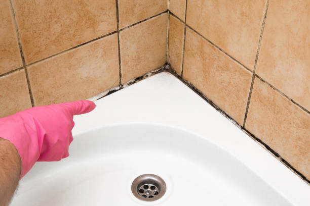 Best Mold Testing  in Clear Lake, IA